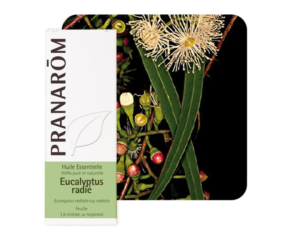 Huile essentielle Pranarom à l'eucalyptus radié - Clinique de Santé  Respiratoire des Sommets
