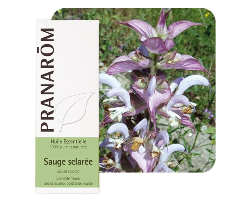 Huile essentielle de Sauge sclarée Bio (Salvia Sclarea) Florame, propriétés  toniques
