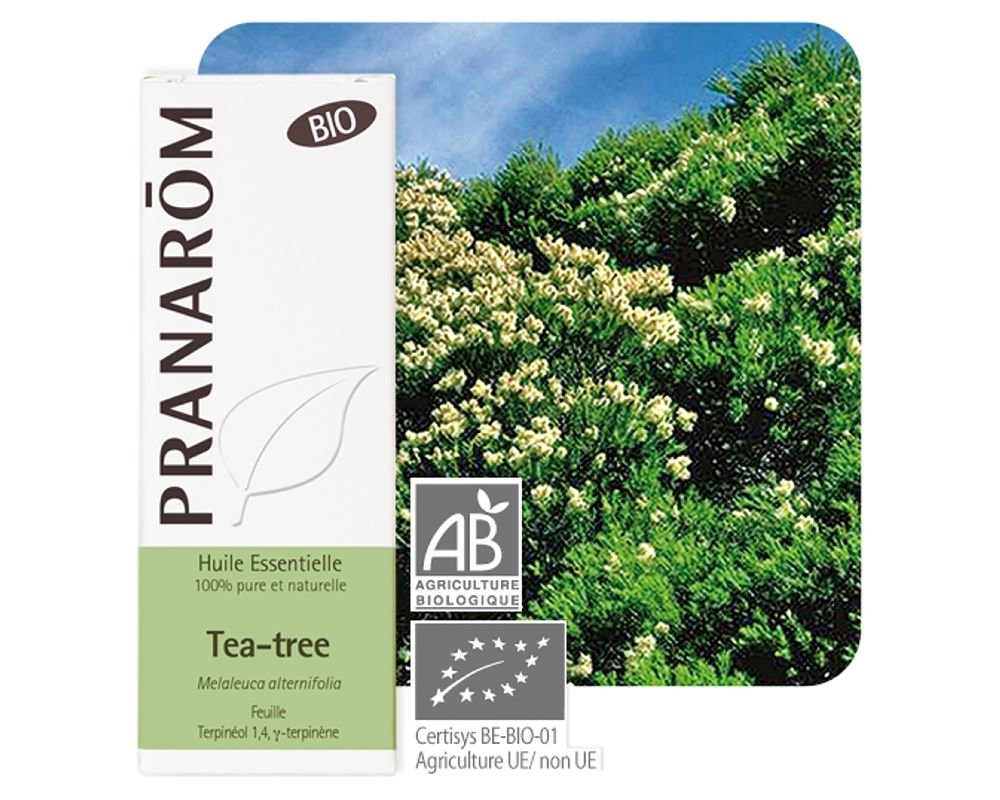 Huile essentielle BIO de Tea Tree 100% pure et naturelle, 10ml