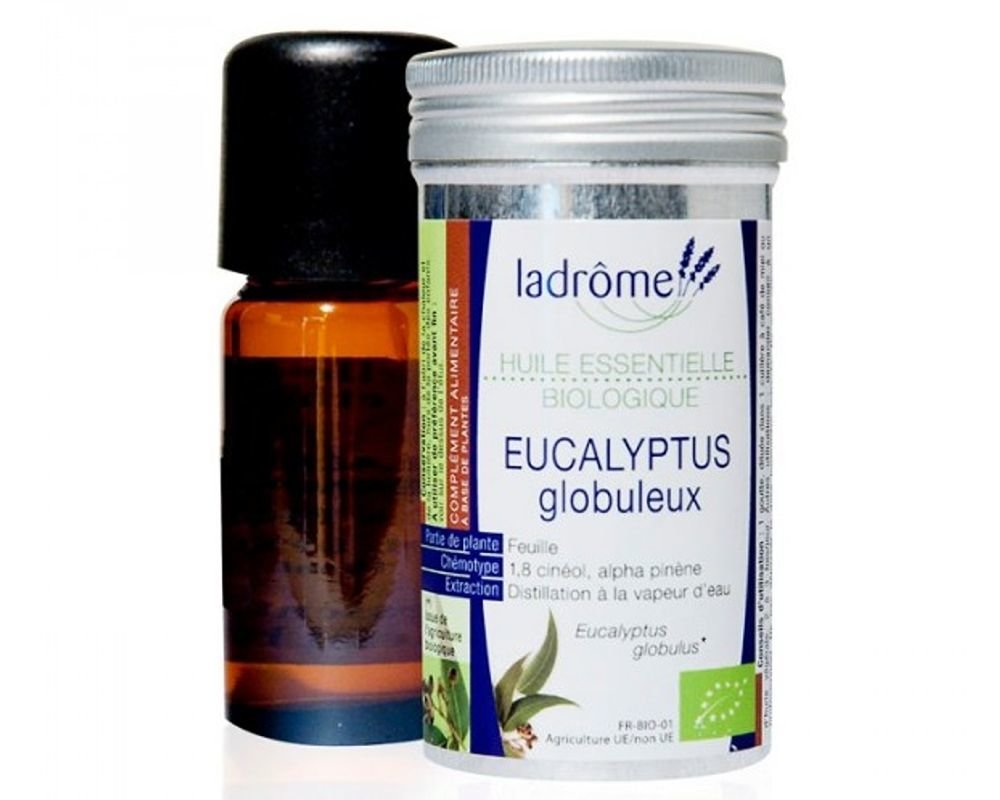L'Eucalyptus radié, respiratoire et désinfectante - Herbier de plantes –  Ladrôme Laboratoire